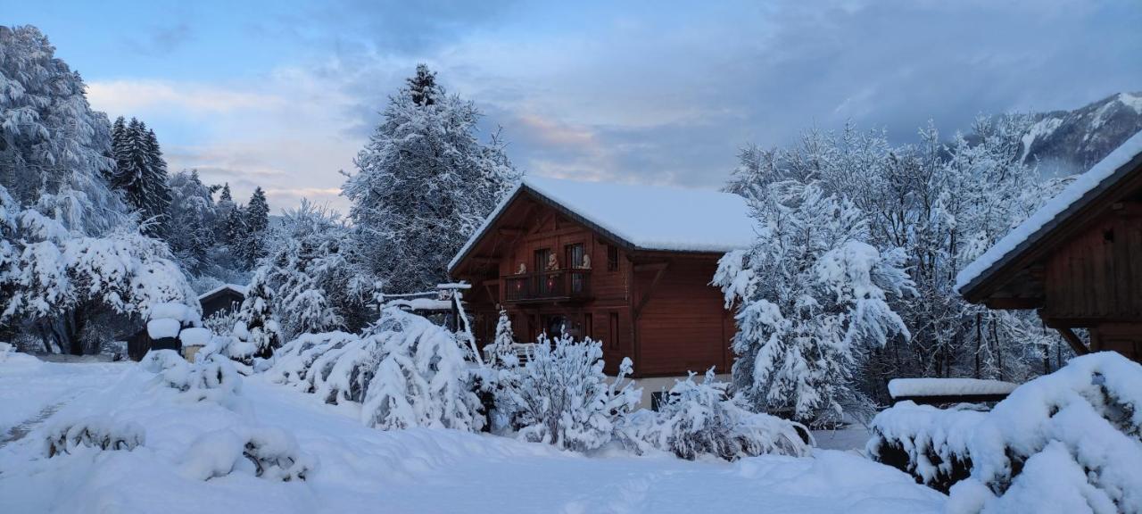 Chalet Les Vagnys - Lac Des Vernays La Riviere-Enverse 外观 照片